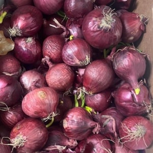 Ceapa rosie si galbena ECO, 1 kg