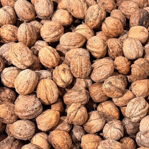 Nuci in coaja, ECO 1 Kg - Img 3
