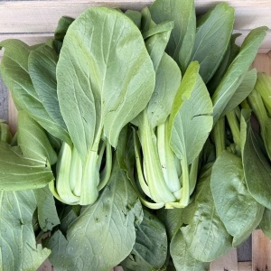 Pack choi, ECO, 1 buc