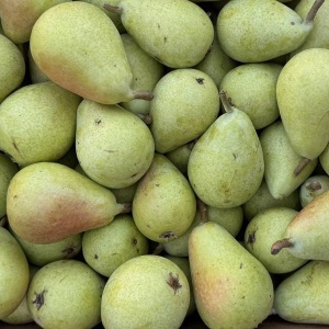 Pere Ercolina, ECO, min500g