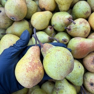 Pere Williams, ECO, min 600g