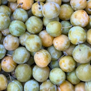 Prune Galbene, 500g (nestropite)