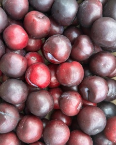 Prune rotunde, ECO, min 500g