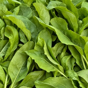 Rucola, ECO, 120g