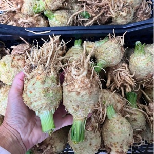 Telina de radacina romanesca, ECO, aprox 400g (calibru mic)