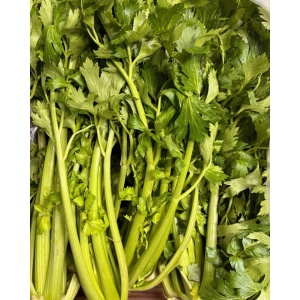 Telina de tulpina, apio, ECO, 1buc (aprox 350g)