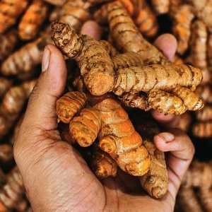 Turmeric, ECO, 1kg
