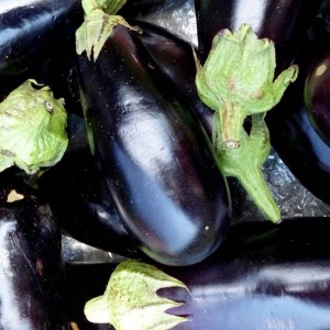 Vinete, ECO, aprox 1kg
