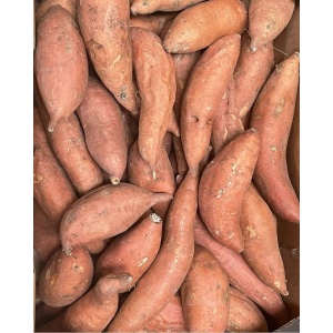 Cartofi dulci cu miez portocaliu, ECO, aprox 1kg - Img 2