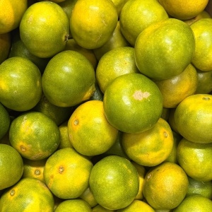 Clementine, ECO, 500g
