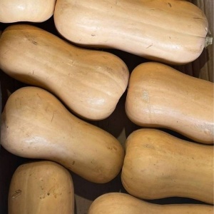 Dovleac Butternut, ECO, 1buc ( min 650g)