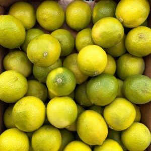 Limes ECO, min 500g - Img 2