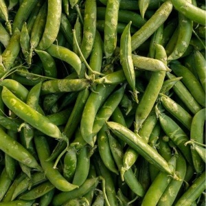 Mazare pastai, ECO, 500g