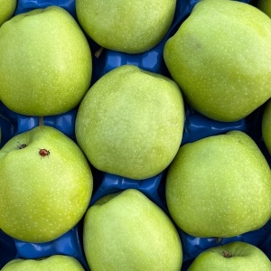 Mere Granny Smith, ECO, 2 buc (calibru mare)