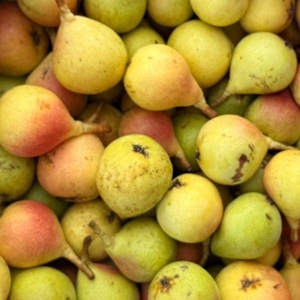 Pere Kontoula, ECO, 500g