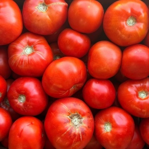 Rosii de gradina, ECO, 1kg