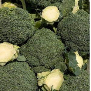 Broccoli, ECO, min 300g