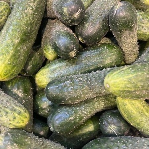Castraveti cornison, ECO, 1kg - Img 3