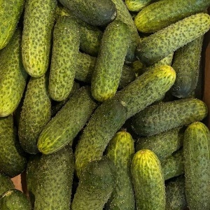 Castraveti cornison romanesti , ECO, 1 Kg