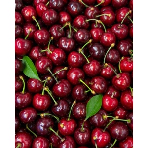 Cirese romanesti Regina, ECO, 3kg - Img 2
