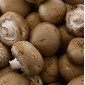 Ciuperci maro, ECO, 250g