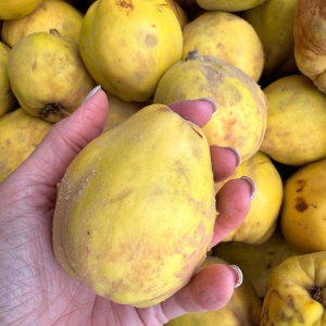 Gutui ECO, 3kg - Img 2