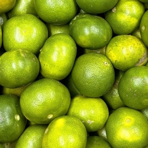 Mandarine Satsumas, ECO, 1kg - Img 2