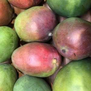 Mango ECO, 1 buc