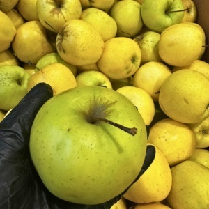 Mere Golden Delicios, romanesti, ECO, 1kg - Img 3
