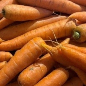 Morcovi, ECO,1kg