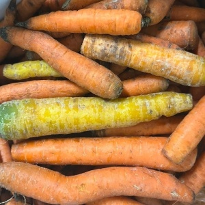 Morcovi ECO pentru gatit, deshidratat, 1kg - Img 2