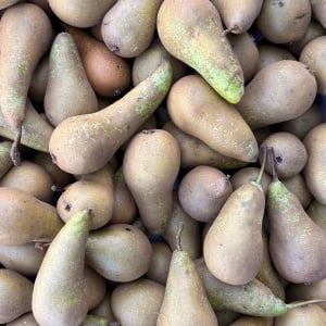 Pere Conference, ECO, min 500g