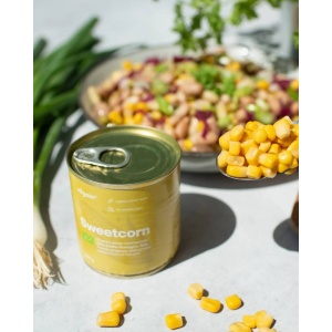 Porumb dulce, Vilgain, ECO, 160g