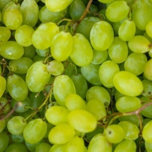 Struguri albi, ECO, 500g