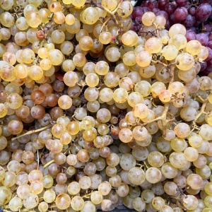 Struguri Ceasla romaneasca, ECO, 1kg