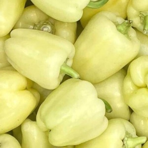 Ardei gras, Bianca, ECO, min500g