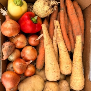 Bunatati pt ciorba, ECO, aprox 5,5 kg - Img 2