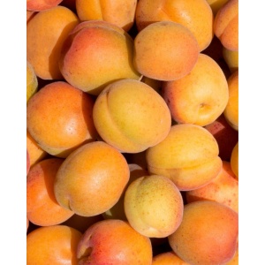 Caise, ECO, MIN 500g - Img 2