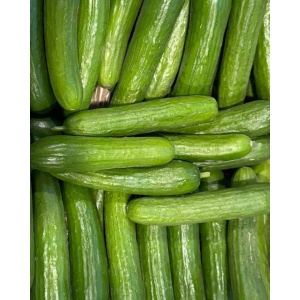 Castraveti scurti, ECO, 150 g - Img 2