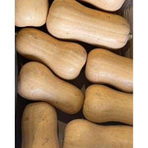 Dovleac Butternut, ECO, 1buc ( min 650g) - Img 2