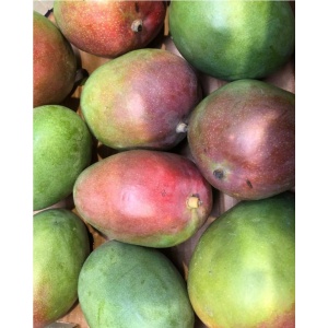 Mango ECO, 1 buc - Img 2