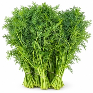 Marar, legatura, aprox 80g, ECO
