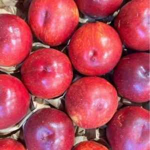 Nectarine, ECO, min 500g - Img 3