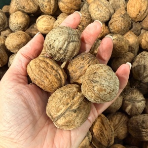 Nuci in coaja, ECO 3kg