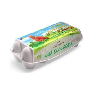 Oua, ECO, 10buc