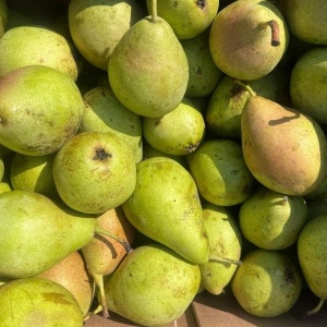 Pere Crystallia, ECO, 1kg - Img 5