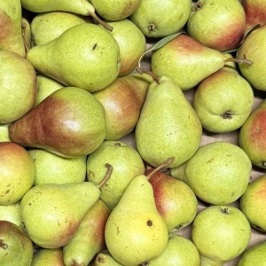 Pere Santa Maria, 500g (conversie eco an II)