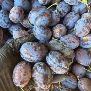 Prune Stanley romanesti, ECO, 1kg - Img 2