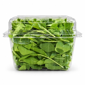 Rucola, ECO, 120g - Img 2