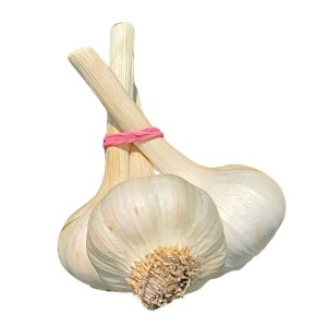 Usturoi Capatana ECO, 130g